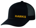 Hawks Mesh Hat 2